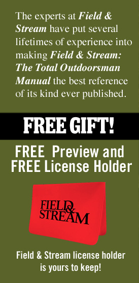 Order Now!